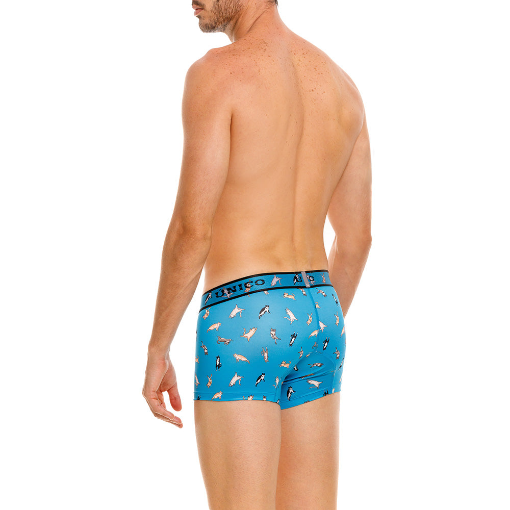 Boxer Unico Fun Felino Corto Microfibra