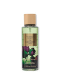 Body Mist Victoria's Secret Fig Cardamom Oud 250 ml