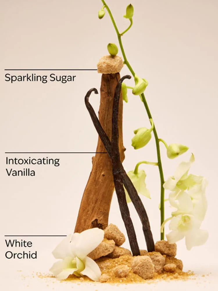Fine Fragrance Mist Bath & Body Works Warm Vanilla Sugar 236 ml
