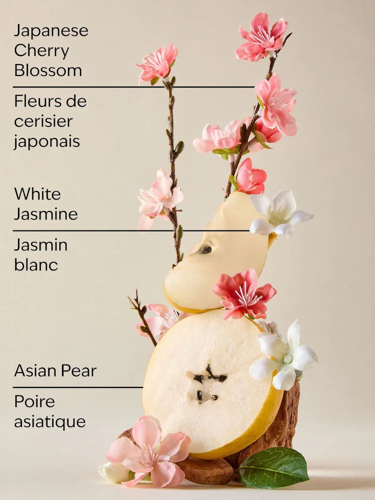 Fine Fragrance Mist Bath & Body Works Japanese Cherry Blossom 236 ml