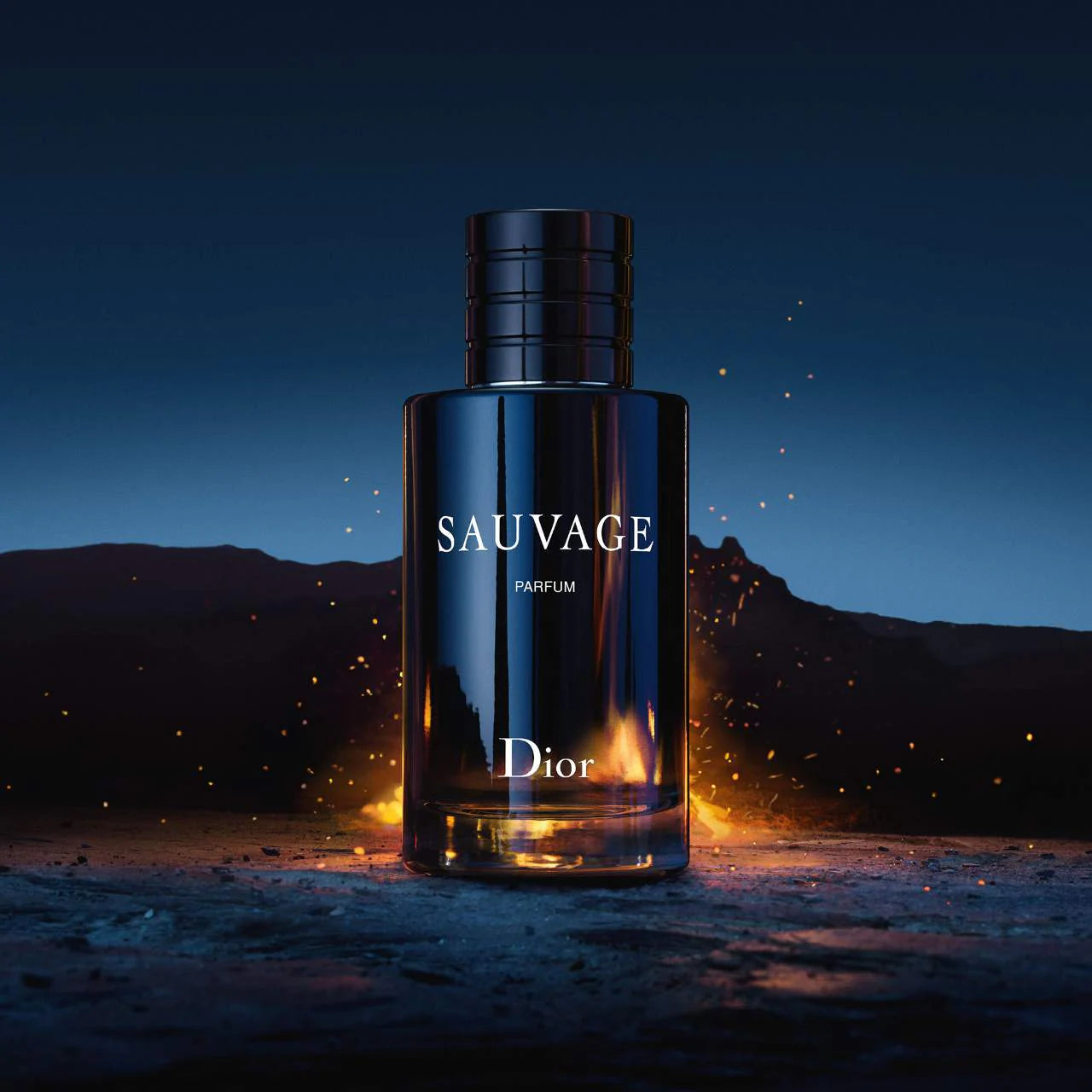 Perfume Christian Dior Sauvage 100 ml Parfum