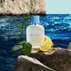 Perfume Dolce & Gabbana Light Blue 100 ml EDT