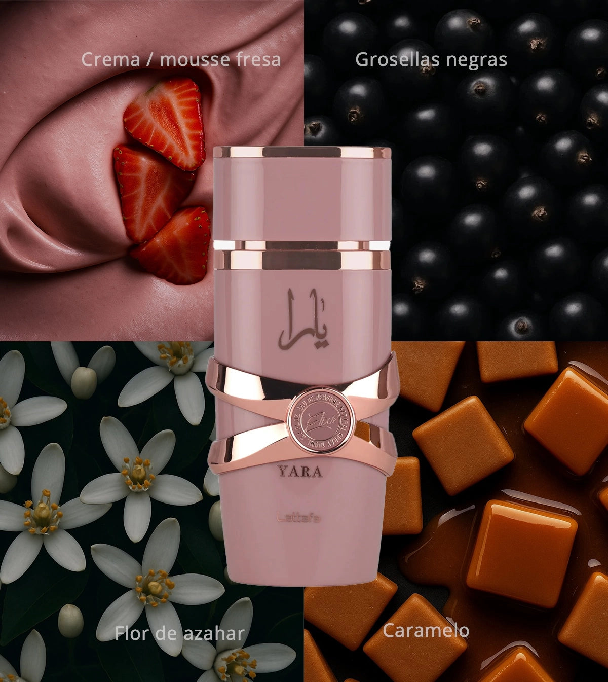 Perfume Lattafa Yara Elixir 100 ml EDP